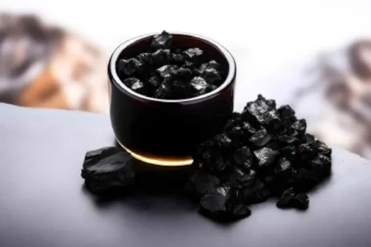 Health Benefits of Shilajit